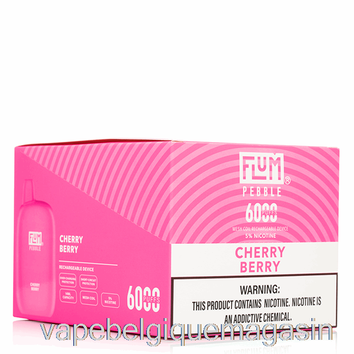 Vape Belgique [10-pack] Flum Pebble 6000 Jetable